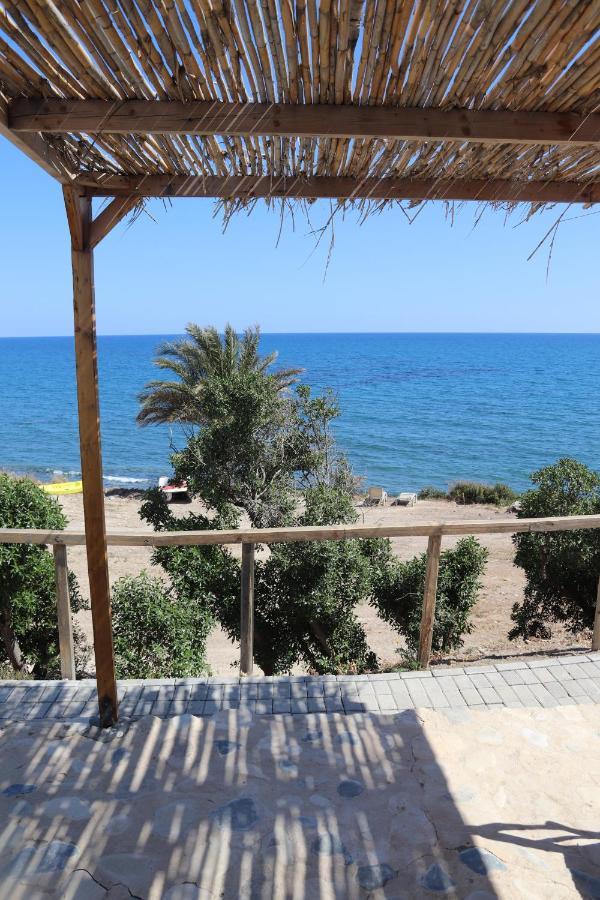 Summer Dream Cyprus Maroni Esterno foto