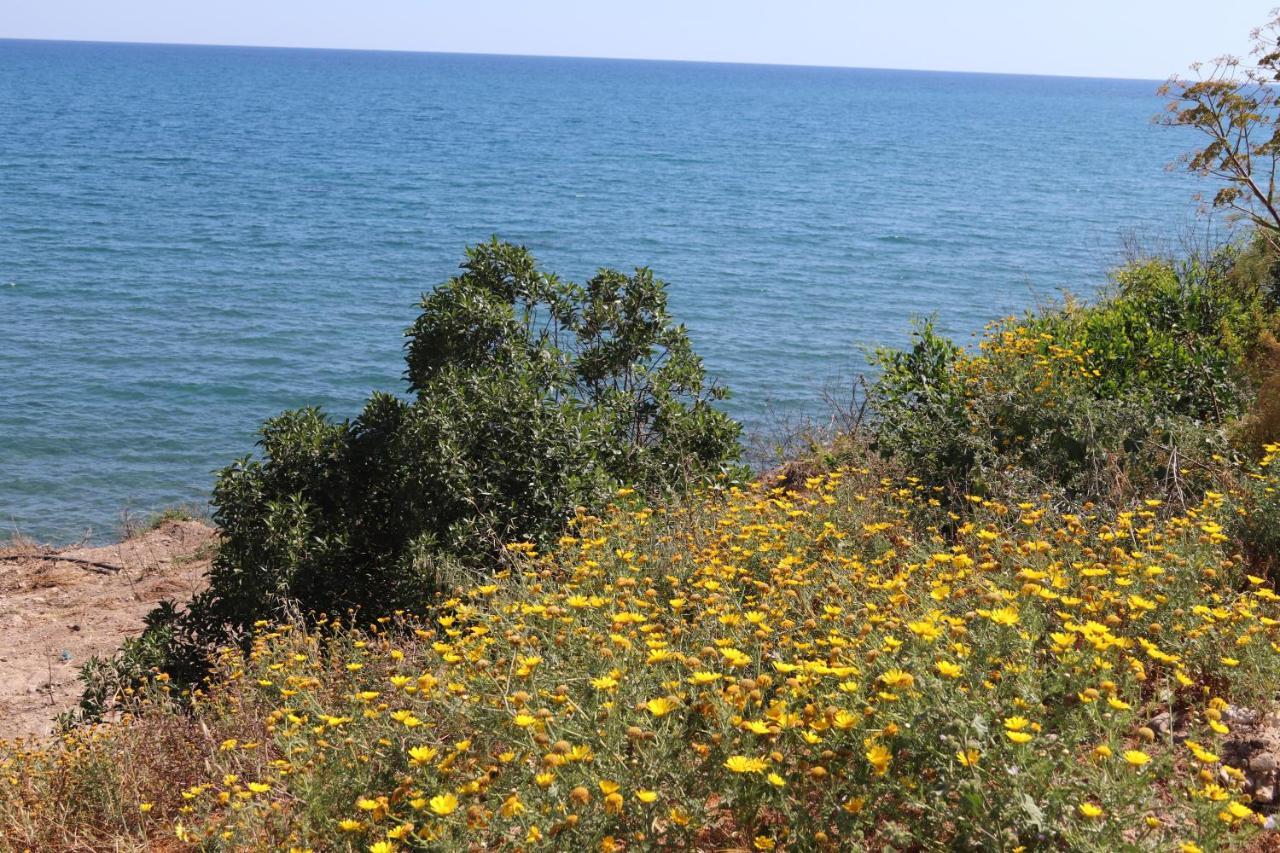 Summer Dream Cyprus Maroni Esterno foto