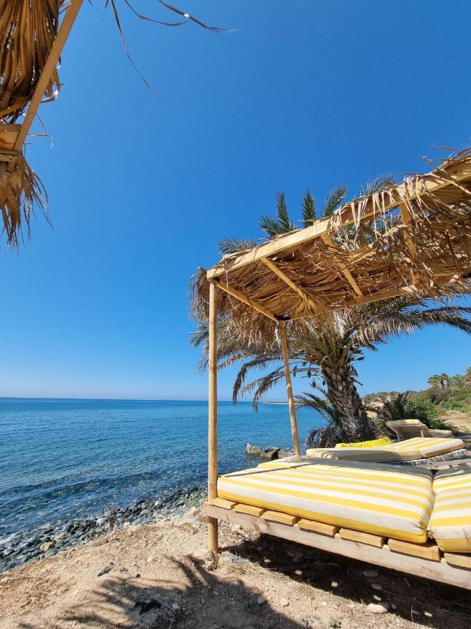 Summer Dream Cyprus Maroni Esterno foto