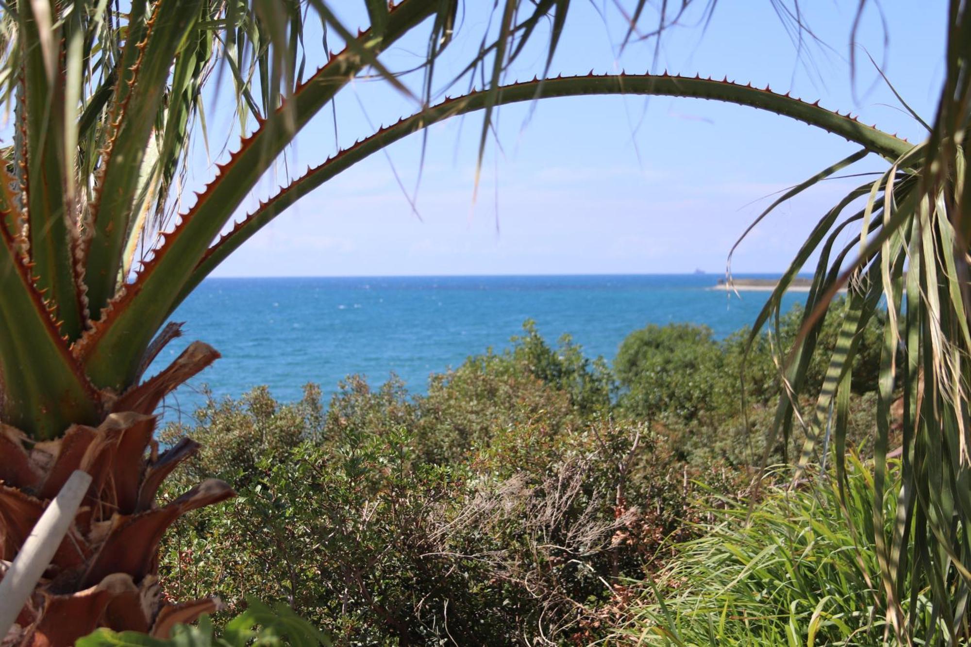 Summer Dream Cyprus Maroni Esterno foto